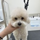 루앤멍