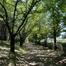 행복근린공원 이미지