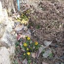 갤럭시민박 이미지