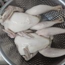 전도낙지랑오리랑 | 초복 삼계탕 레시피 | 슬로우쿠커로 전복 낙지 삼계탕 끓이는 법 (마켓컬리 재료 후기)