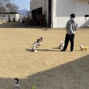 샘재로 1 이미지