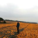 안나목장 이미지