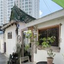 화이트라이프 이미지