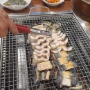 장어시대 이미지