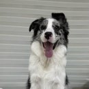 행복을 배우는 공간 이미지