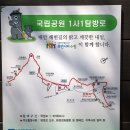 바라길 이미지