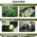 조아라영농조합법인 이미지