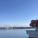 수향모텔 | 강릉여행 / 강릉맛집 모둠 회 솔직후기 / 주문진 수산시장 수향수산