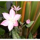 마포보건약국 이미지