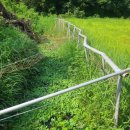 둠벙추어탕 | 둠벙 이야기