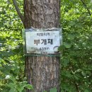 부개재 Daum카페