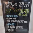 하이바디짐 이미지