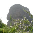 ▣ 용호산:-아름다워던 비경지"용아산수로" 뗏목/ 나눗배-관광-2 이미지