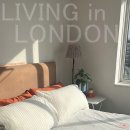 하루민박 이미지