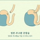 정관오토바이