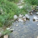 나르지오 티스토리