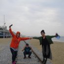 강경황산초등학교 Daum카페