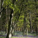 박촌한의원 이미지