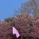 260425 2026어썸뮤직페스티벌 Day1 후기_장소는 별루지만 아티스트들은 짱이었다 특히 성규는 뭐 말해...