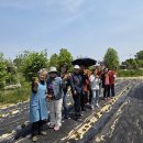 아리랑농장 이미지