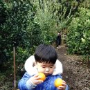 원재농장 이미지