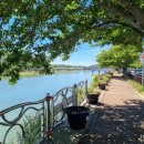 미나반점 이미지