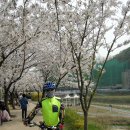 보디가드 이미지