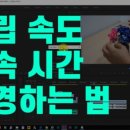 미니크(minic) 이미지