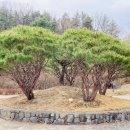 여강길(5코스 황학산길) 이미지