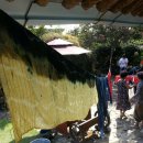 산에는 꽃이피네민박 이미지