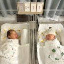 리베 산후조리원 강서점 이미지