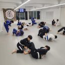 파라에스트라전하