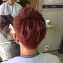 마지크헤어 이미지