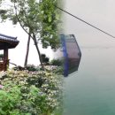 바다엔소나무 이미지