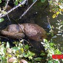 보청천 옥천-13 이미지