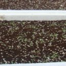 민들레유통 이미지