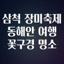 장미수산 | 삼척 장미축제 동해안 여행 꽃구경 명소