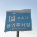 선어삼합회장님