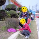 자연의 색 물들이기 이미지