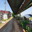 우리집 칼국수 이미지