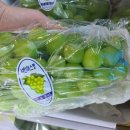 따봉청과 이미지