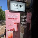 일산카페 일산호수공원카페 오즈커피 OZ커피 콜드브루녹차라떼 딸기요거트스무디 땅콩빵 후기