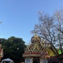 S015 | [엄마랑 치앙마이 여행 Day 1 ] Phordee bistro, 렌터카 빌려서 도이수텝, 엘리핀 팜, 사이프러스 레인...