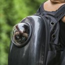 펫드라이브 이미지