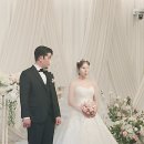 꽃;스무이틀 이미지