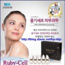 루비셀 - 남구 | 루비셀