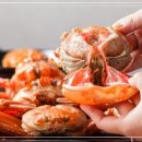 터미널수산 이미지