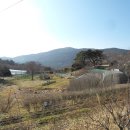 장산시장 이미지