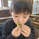 혜림 칼국수 이미지