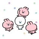브로인제이 이미지